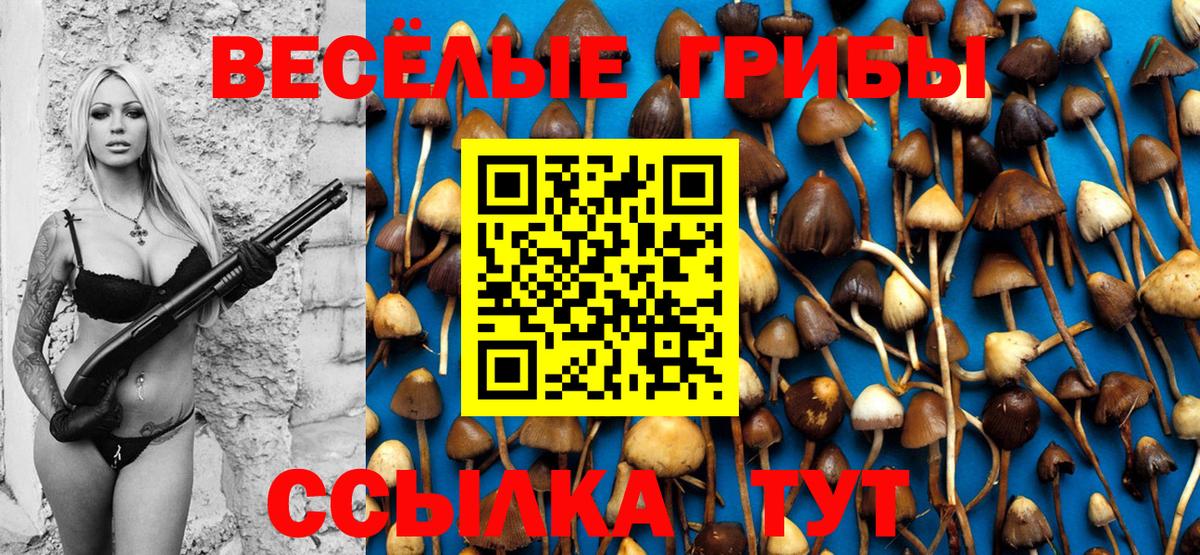 Галлюциногенные грибы прущие грибы Ярославль